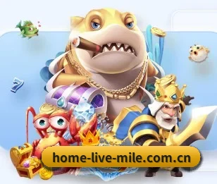 home-live-mile.com.cn五大内容板块,覆盖赛事直播与实时比分